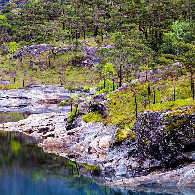 Glezna baltā rāmī - Forest On A Mountain Lake 