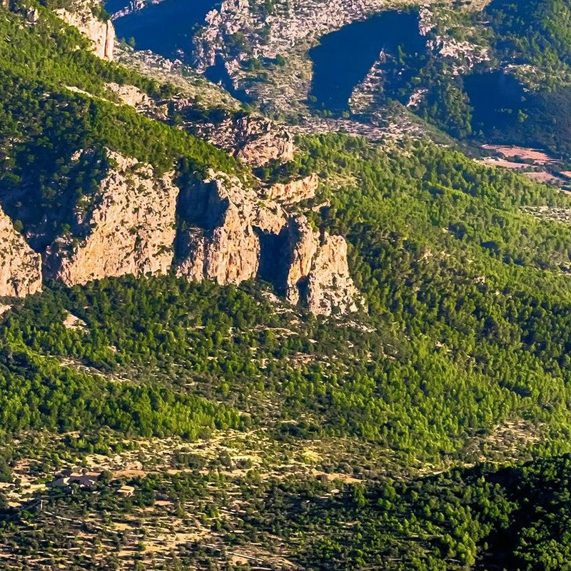 Glezna baltā rāmī - Mountains Covered With Trees 