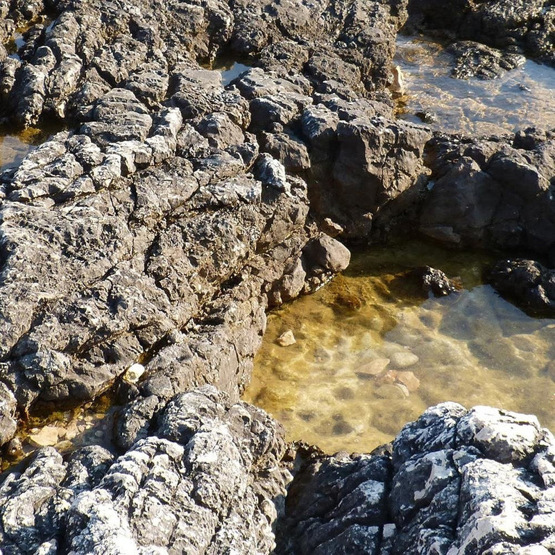 Glezna baltā rāmī - Rocks On The Shore Of The Ocean 