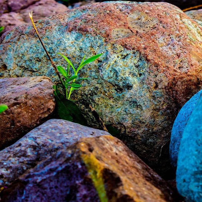 Glezna baltā rāmī - Colored Stones 