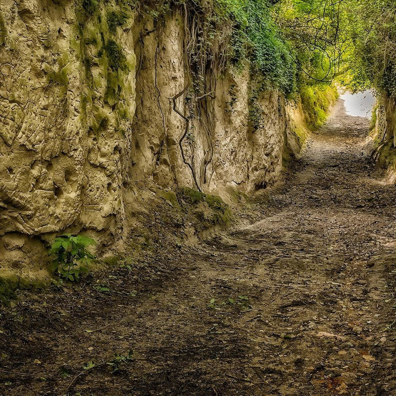 Glezna baltā rāmī - Green Gorge 