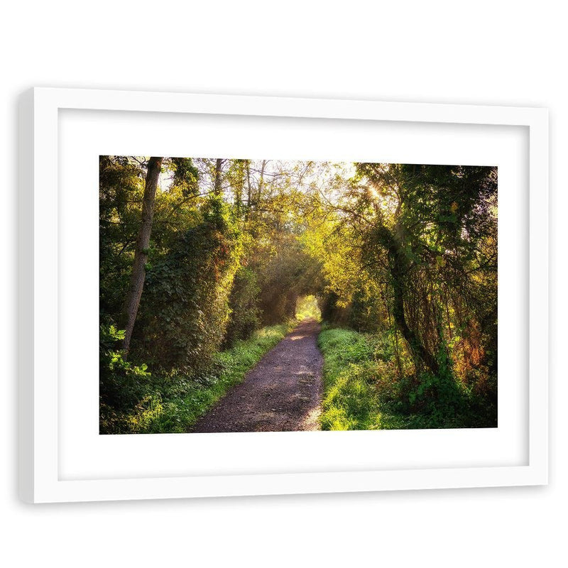 Glezna baltā rāmī - Path In Dense Forest 