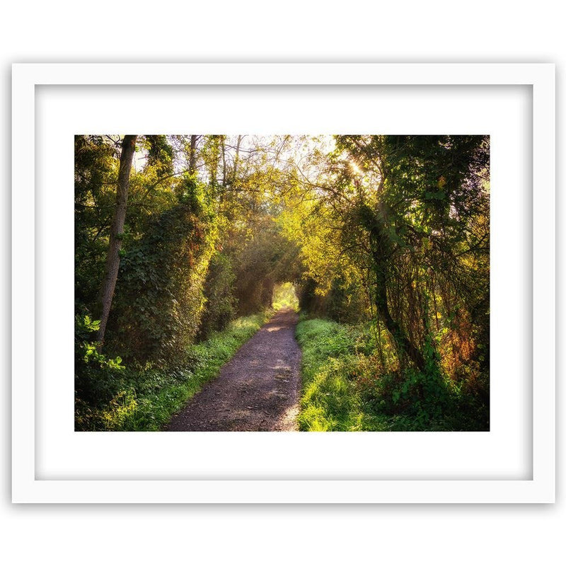 Glezna baltā rāmī - Path In Dense Forest 