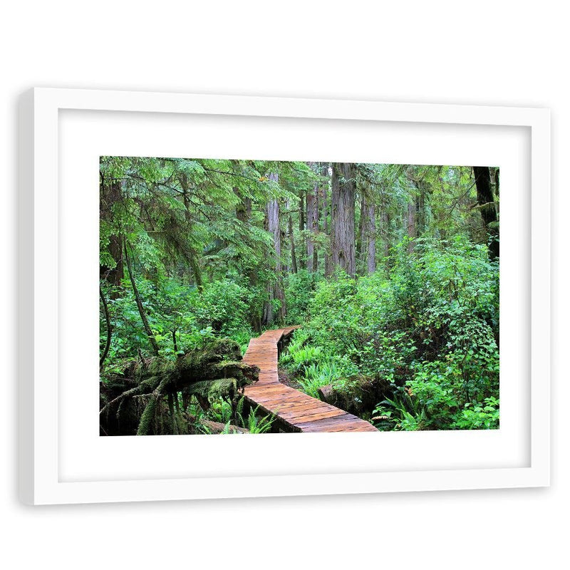 Glezna baltā rāmī - Footbridge In The Forest 