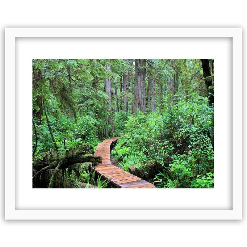 Glezna baltā rāmī - Footbridge In The Forest 