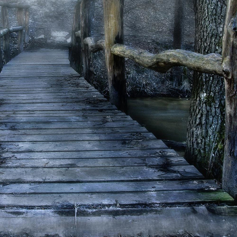 Glezna baltā rāmī - Bridge In The Fog 