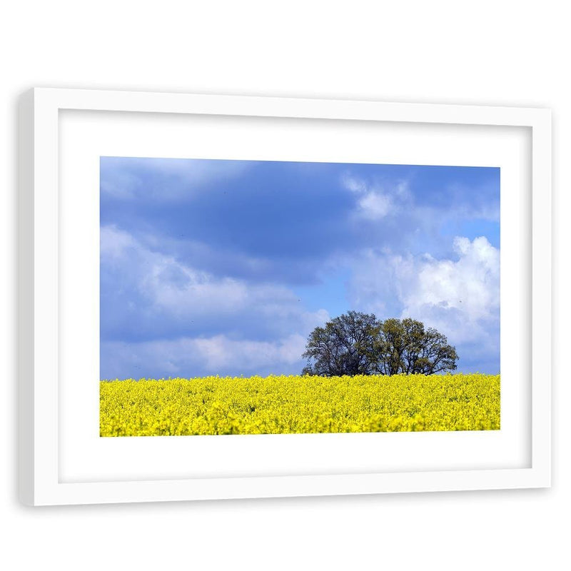 Glezna baltā rāmī - Rapeseed And Trees 