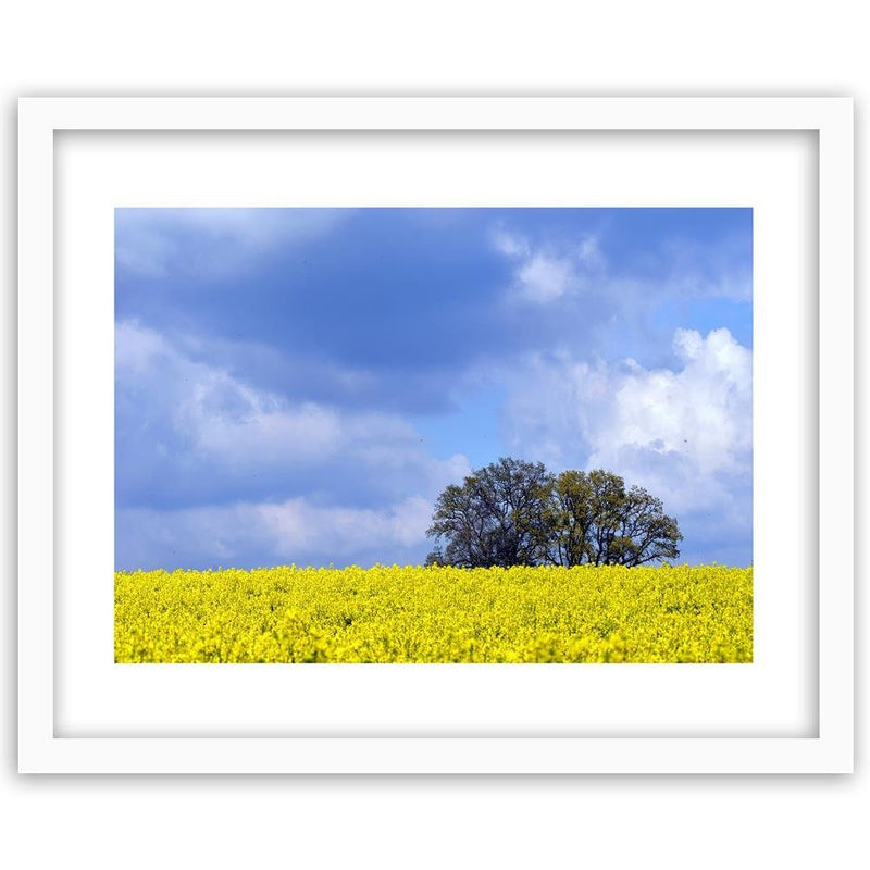 Glezna baltā rāmī - Rapeseed And Trees 