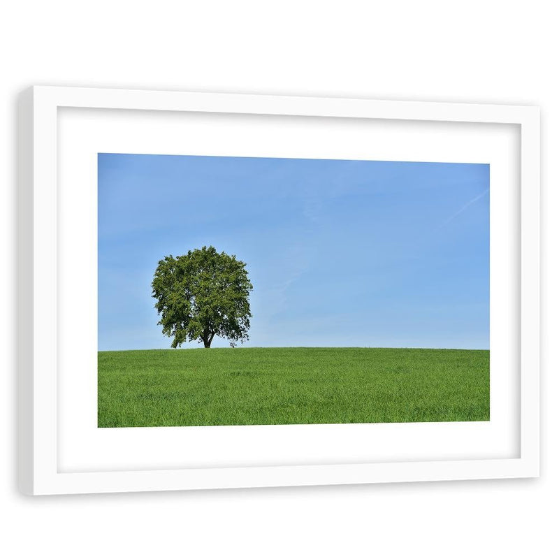 Glezna baltā rāmī - Tree On The Meadow 