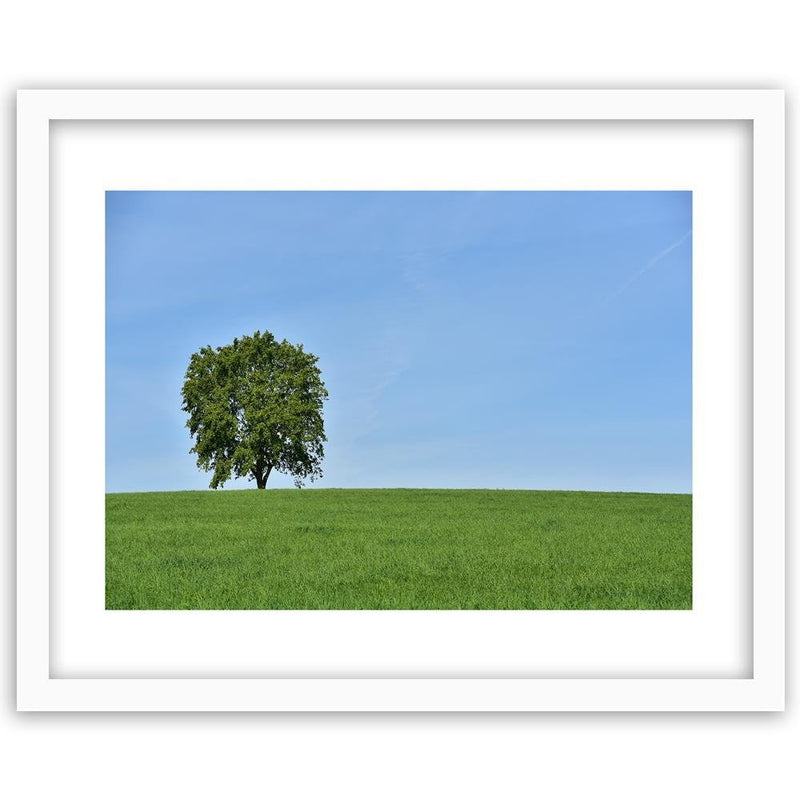 Glezna baltā rāmī - Tree On The Meadow 