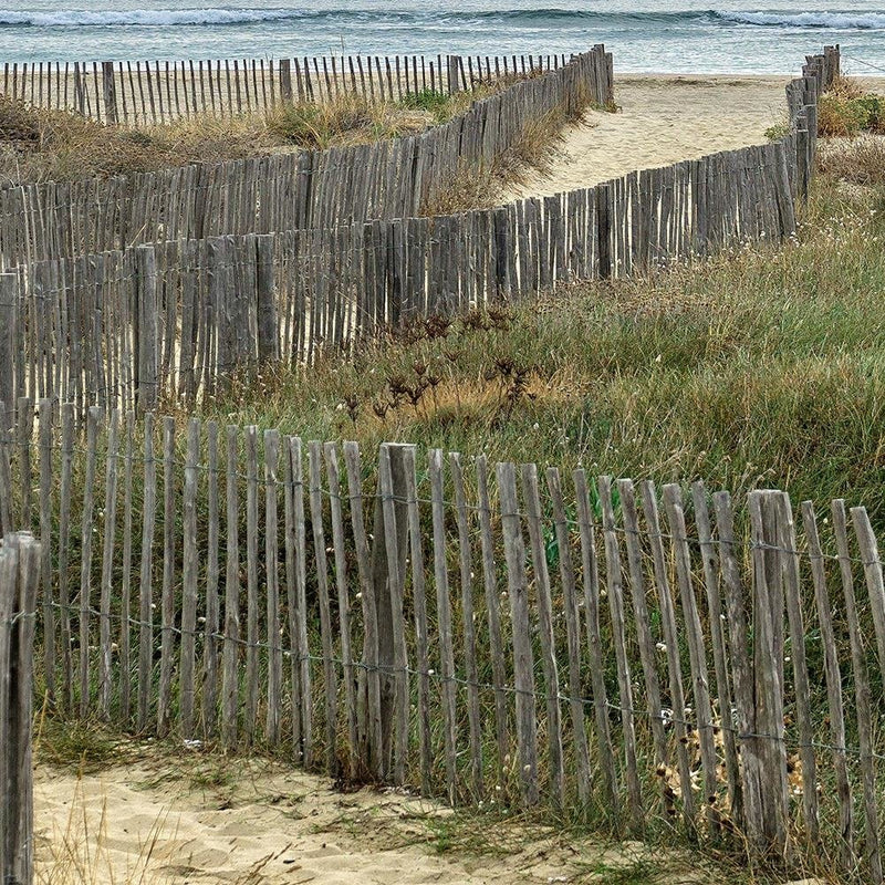 Glezna baltā rāmī - The Road To The Sea By Sand Dunes 