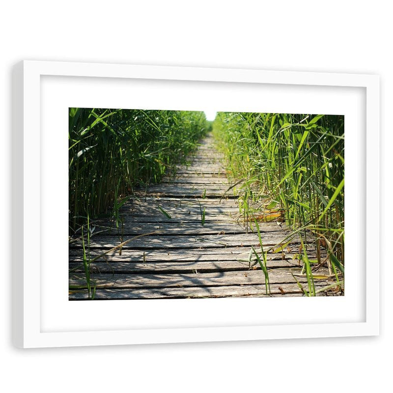 Glezna baltā rāmī - Old Bridge In The Reeds 