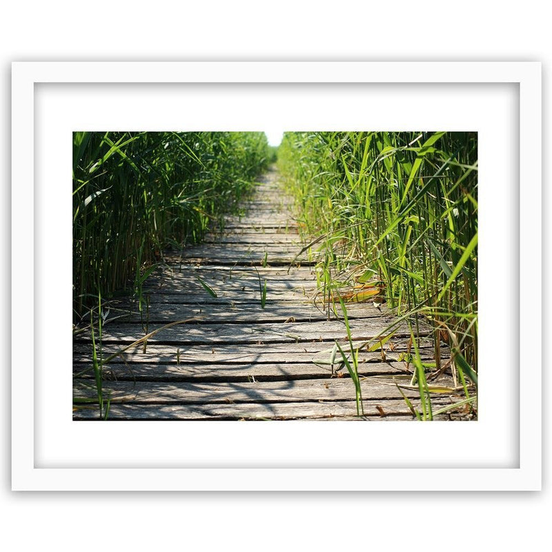 Glezna baltā rāmī - Old Bridge In The Reeds 