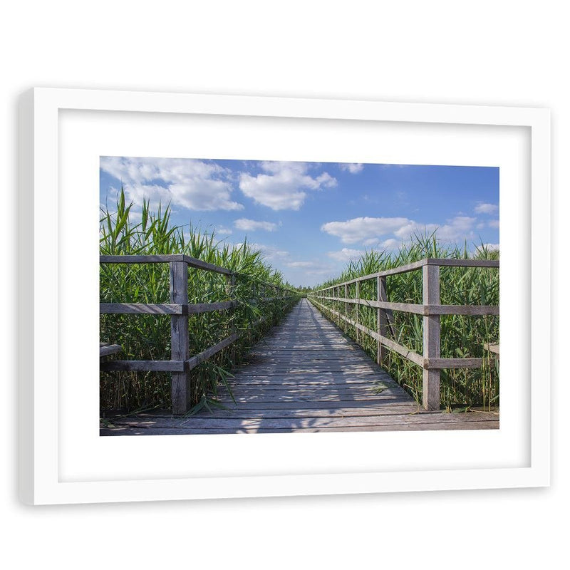 Glezna baltā rāmī - The Bridge In Green Reeds 