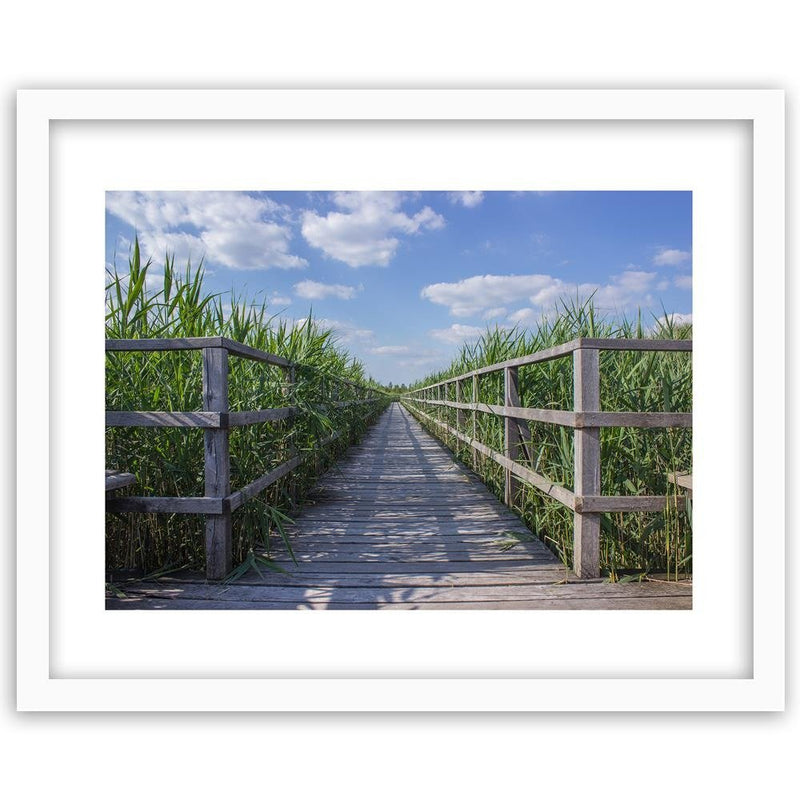 Glezna baltā rāmī - The Bridge In Green Reeds 