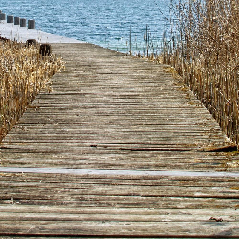 Glezna baltā rāmī - Bridge In The Reeds 