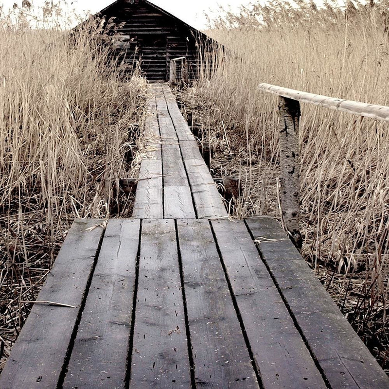 Glezna baltā rāmī - Old Bridge In The High Reeds 