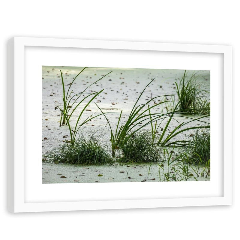 Glezna baltā rāmī - Grass On The Beach 