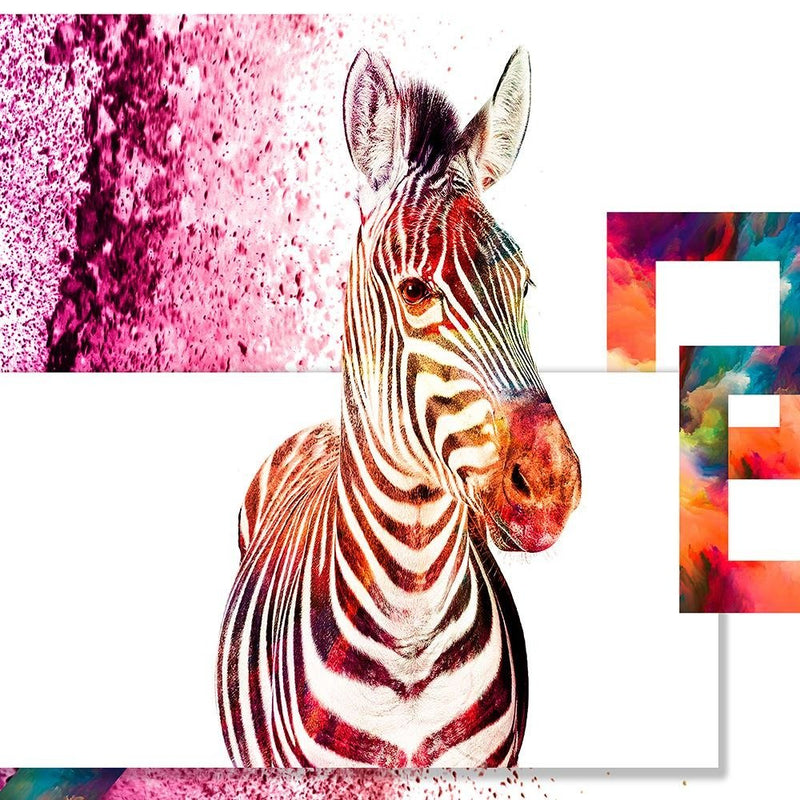 Glezna baltā rāmī - Colorful Zebra 