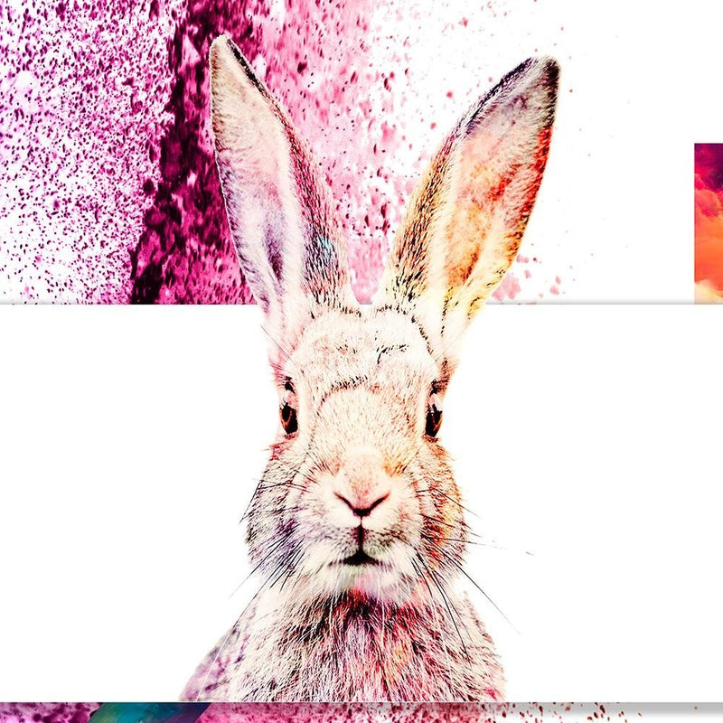 Glezna baltā rāmī - Colored Rabbit 