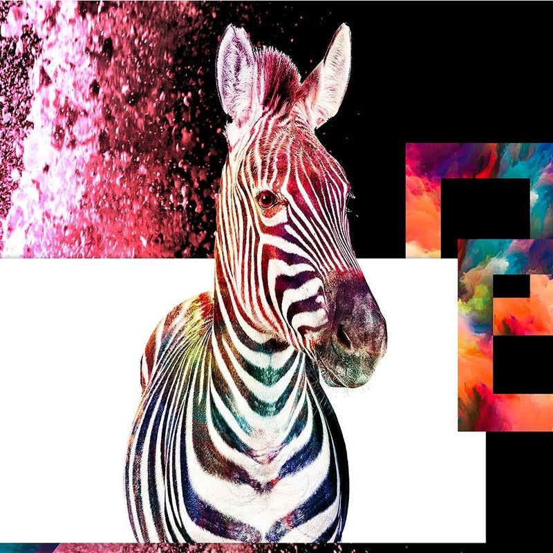 Glezna baltā rāmī - Colorful Zebra 2 