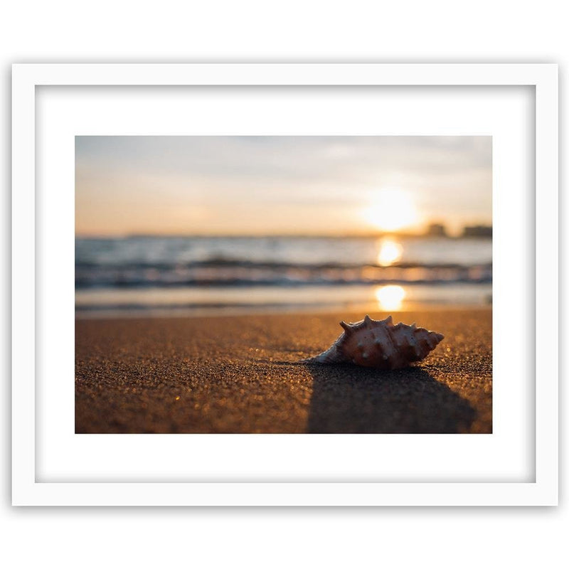 Glezna baltā rāmī - Scallop On The Beach 