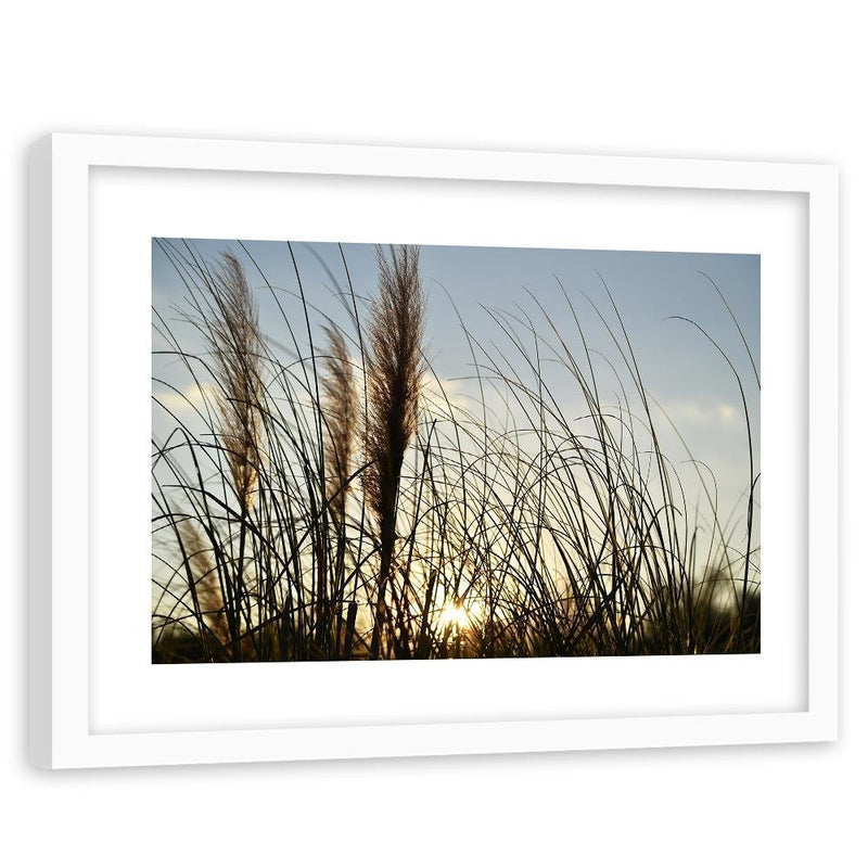 Glezna baltā rāmī - Reed In The Sun 