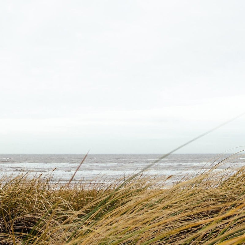 Glezna baltā rāmī - Grass In The Sea 