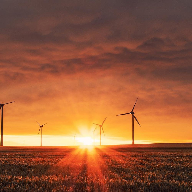 Glezna baltā rāmī - Sunset And Windmill 