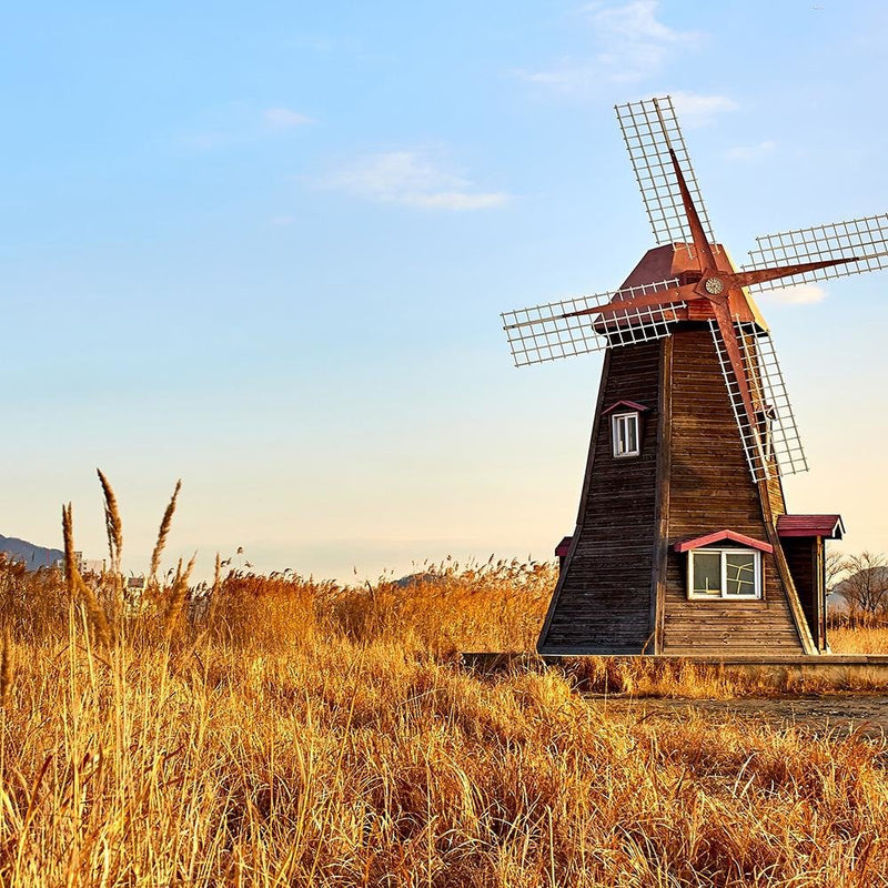 Glezna baltā rāmī - Dutch Windmills 