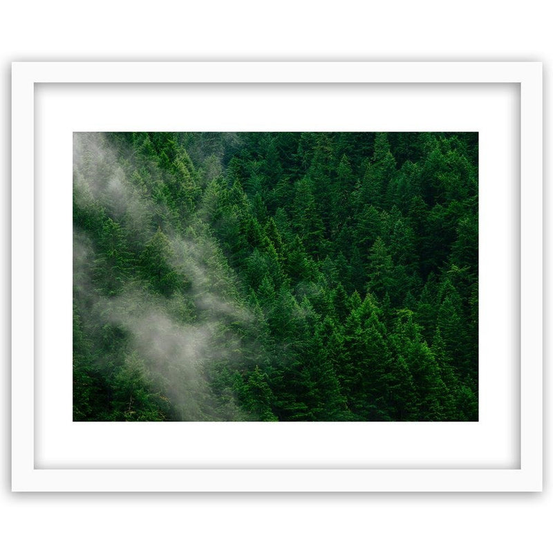 Glezna baltā rāmī - Mist Over The Forest 