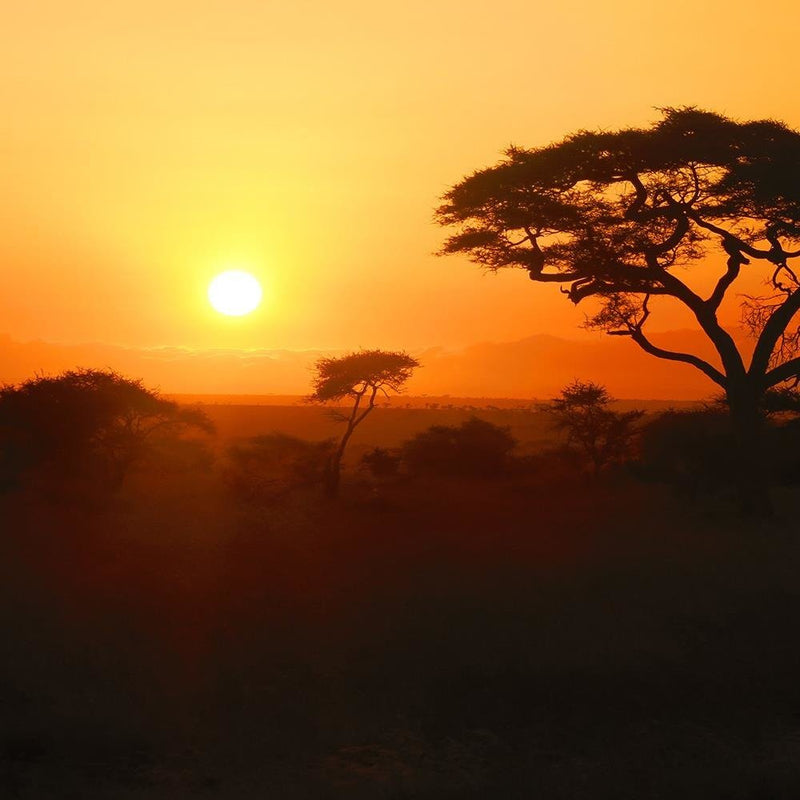 Glezna baltā rāmī - African Sunset 