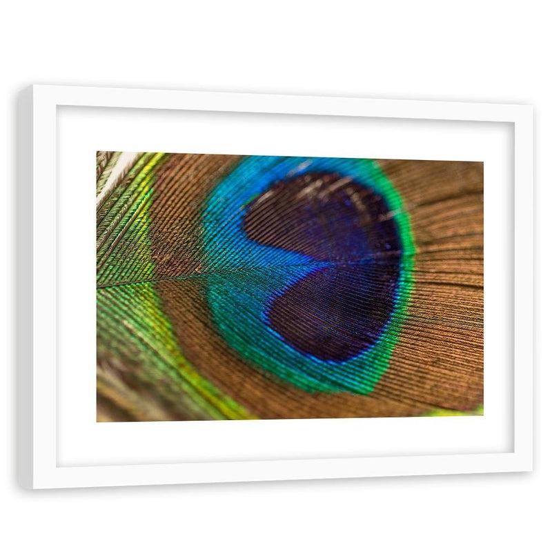 Glezna baltā rāmī - Peacocks Eye 