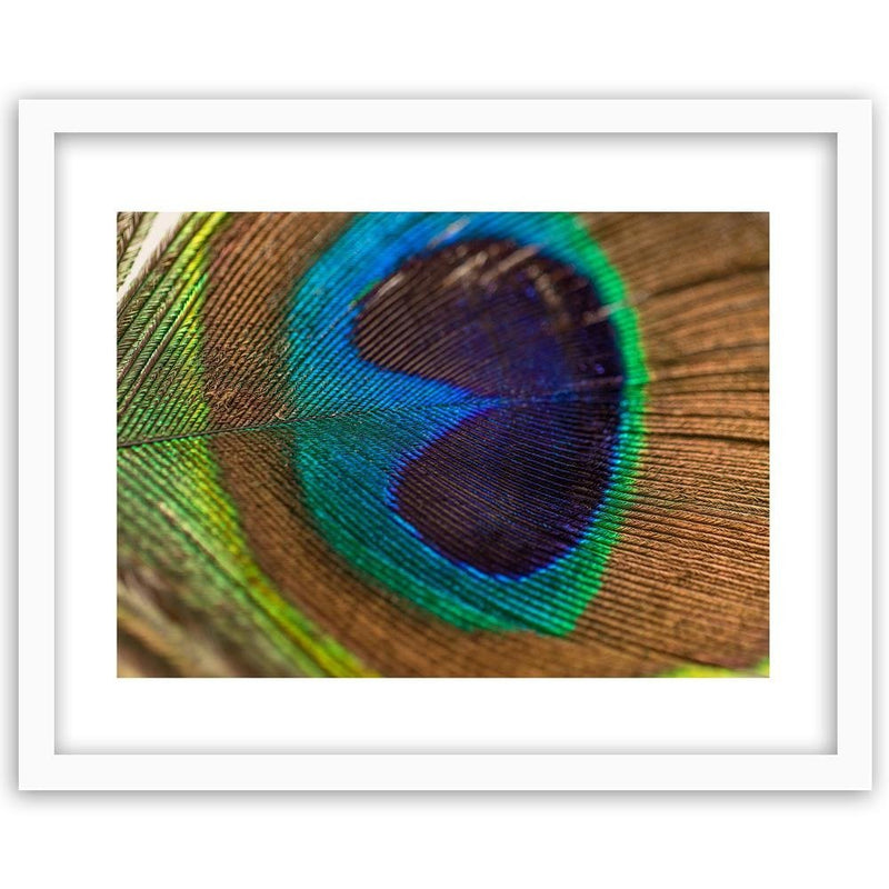 Glezna baltā rāmī - Peacocks Eye 