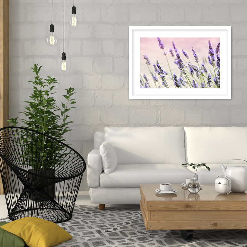 Glezna baltā rāmī - Lavender Flowers 