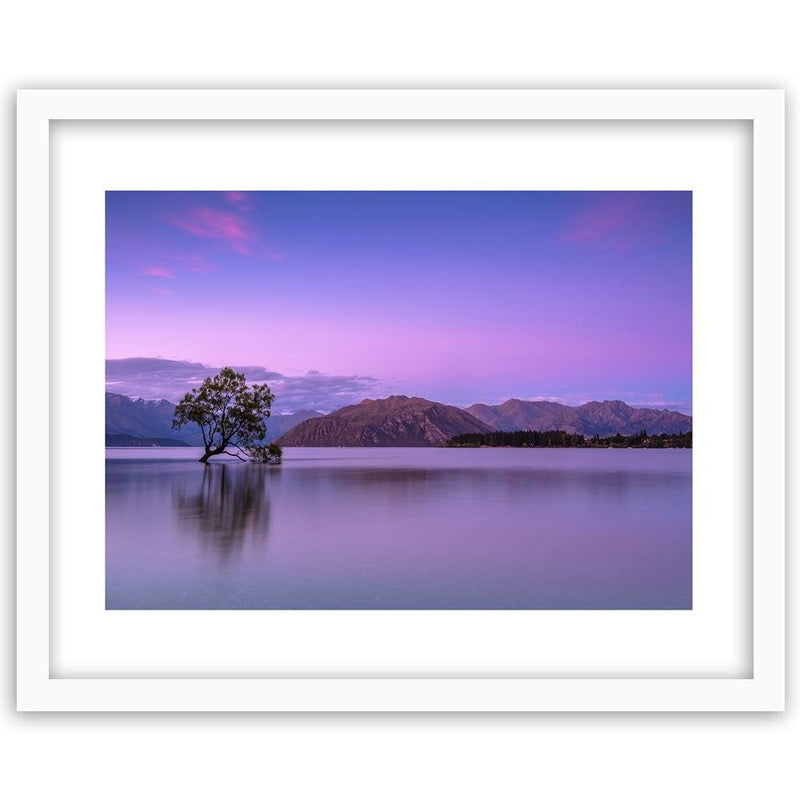 Glezna baltā rāmī - Tree In The Middle Of The Lake 1 