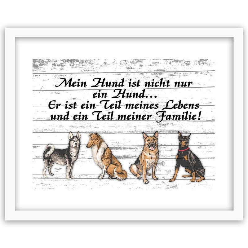 Glezna baltā rāmī - Quote Four Dogs 