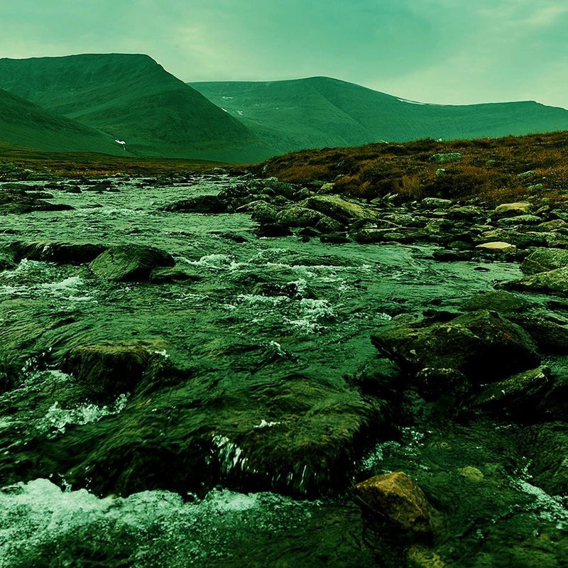 Dekoratīvais panelis - Wild River In The Green 