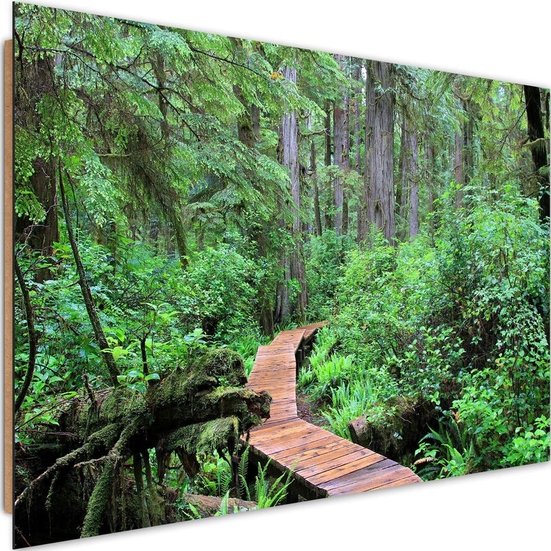 Dekoratīvais panelis - Footbridge In The Forest 