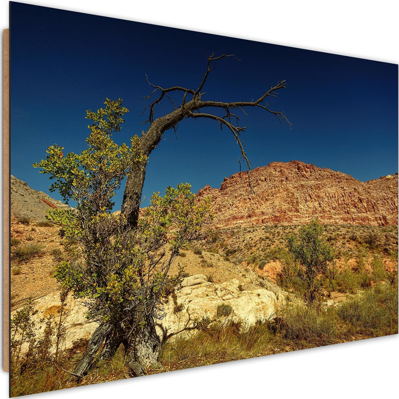 Dekoratīvais panelis - Dry Tree In The Desert 