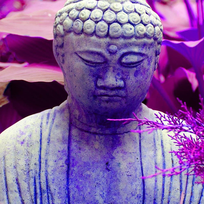 Glezna baltā rāmī - Figure Pensive Buddha 