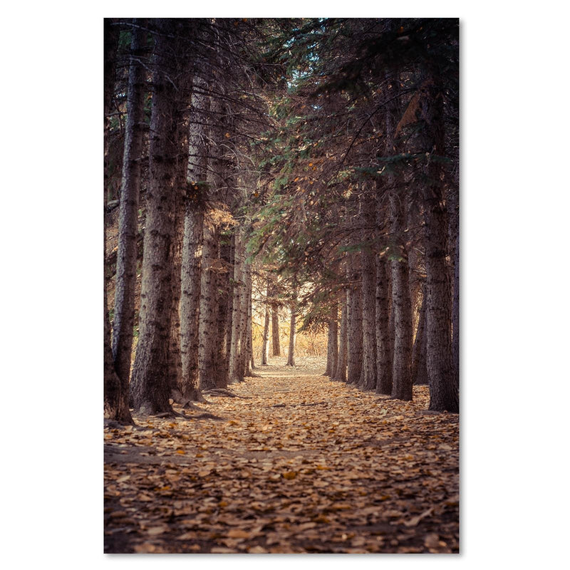 Dekoratīvais panelis - Forest In Autumn 