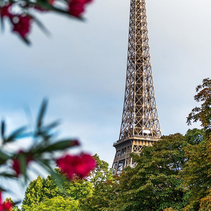 Dekoratīvais panelis - Eiffel Tower And Flower 