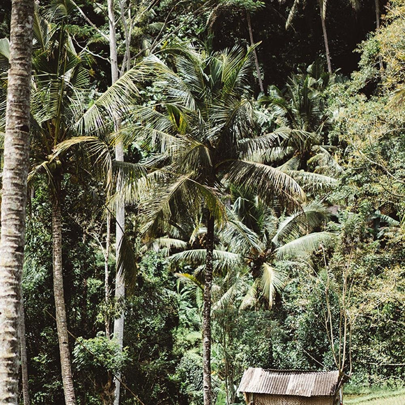 Glezna baltā rāmī - Exotic Garden 