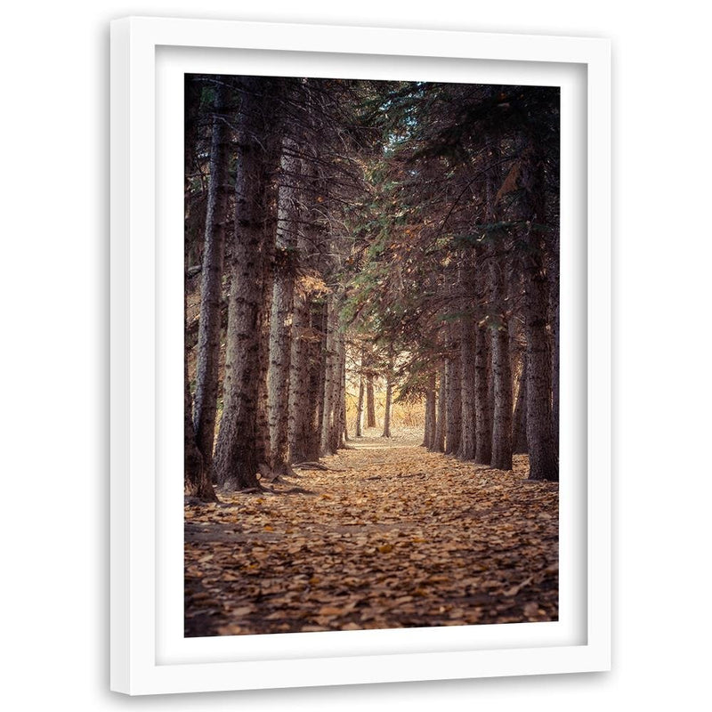 Glezna baltā rāmī - Forest In Autumn 