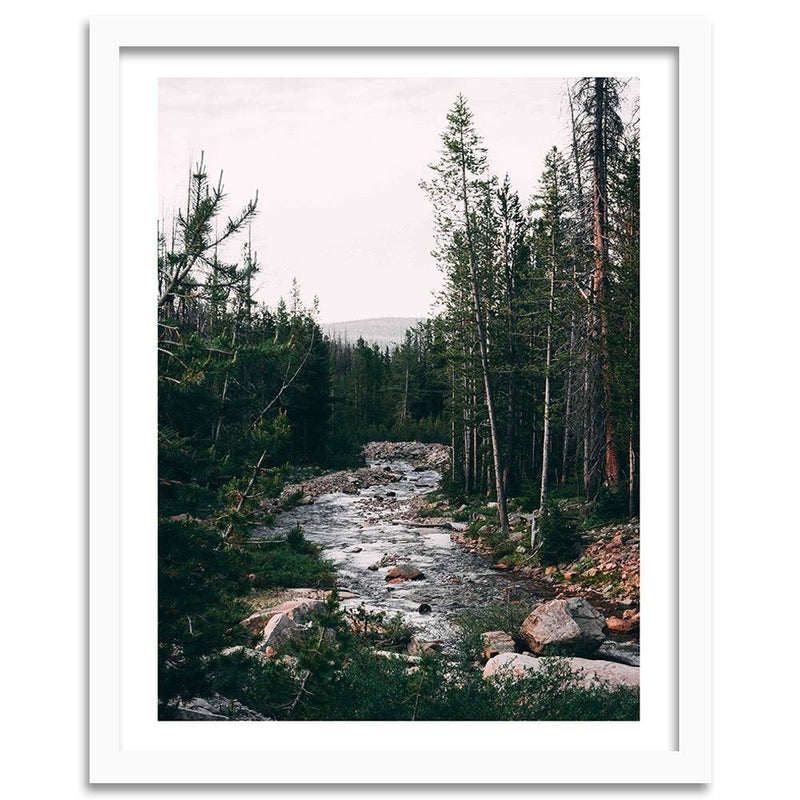 Glezna baltā rāmī - Tranquil Forest Stream 