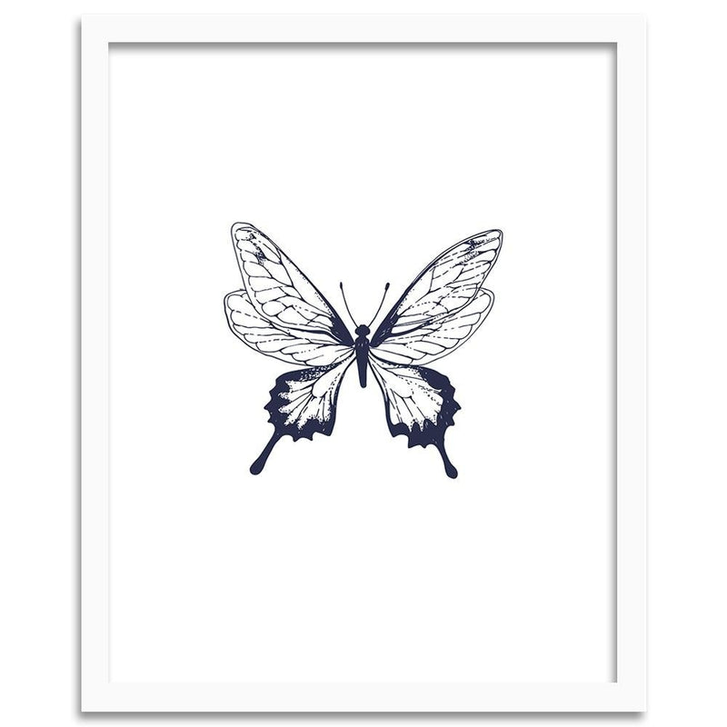 Glezna baltā rāmī - Drawn Butterfly 