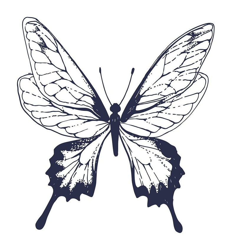 Glezna baltā rāmī - Drawn Butterfly 