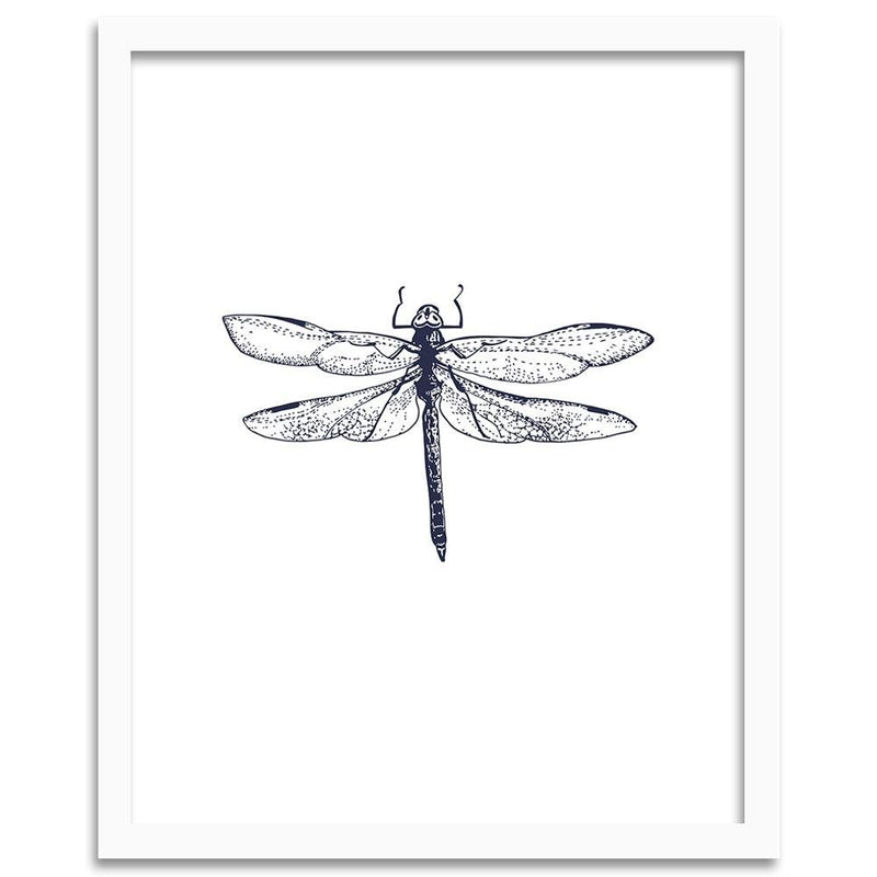 Glezna baltā rāmī - Drawn Dragonfly 