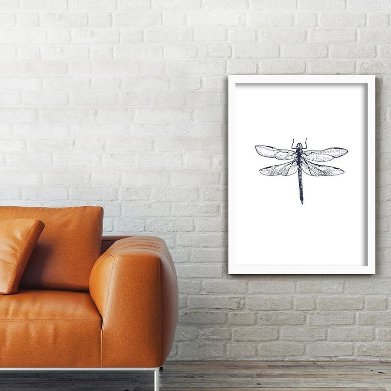 Glezna baltā rāmī - Drawn Dragonfly 